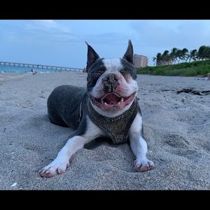 Meet your Posher, Lisandra